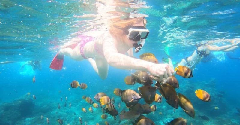 From Lembongan: Private West Penida Tour and Snorkeling - Inclusions
