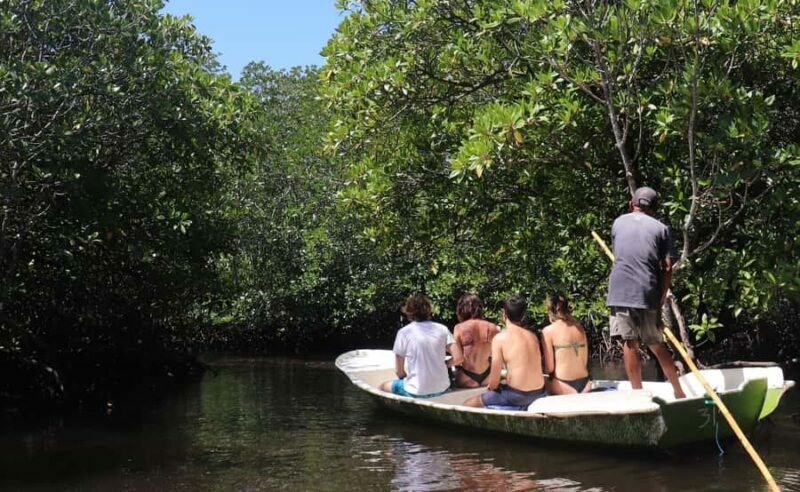 From Lembongan: Snorkeling 3 Spots, Mangrove and Land Tour - An Overview of the Tour