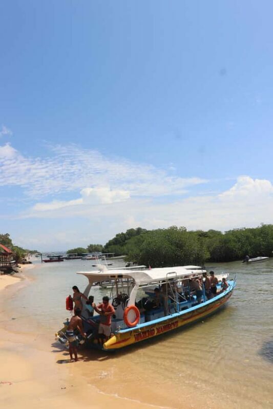 From Lembongan: Snorkeling 3 Spots, Mangrove and Land Tour - FAQ