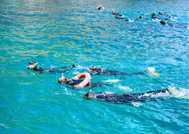 From L'Estartit: Snorkeling Excursion at the Natural Park - Key Points