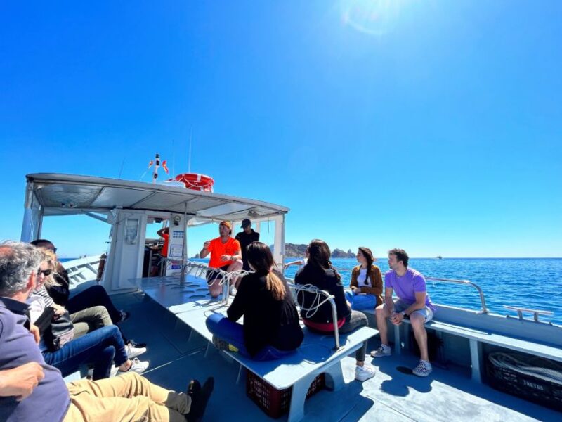 From L'Estartit: Snorkeling Excursion at the Natural Park - Experience Highlights