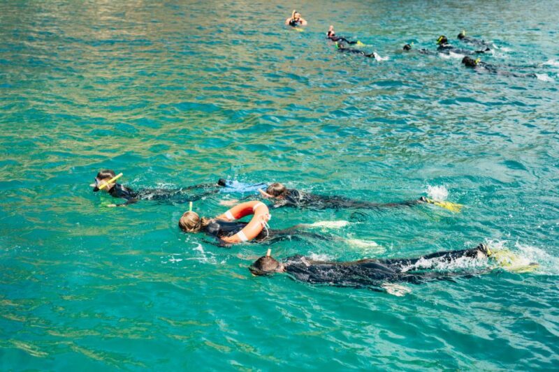 From L'Estartit: Snorkeling Trip to the Medes Islands - Highlights of the Experience