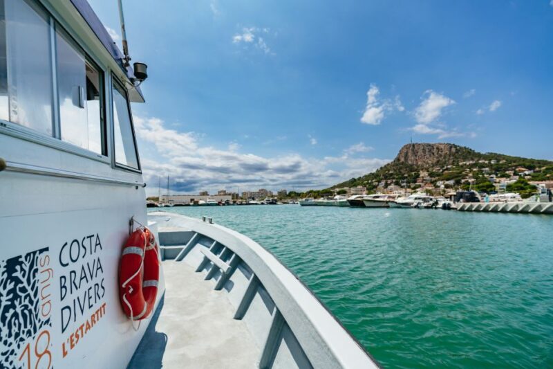 From L'Estartit: Snorkeling Trip to the Medes Islands - Snorkeling Equipment Provided