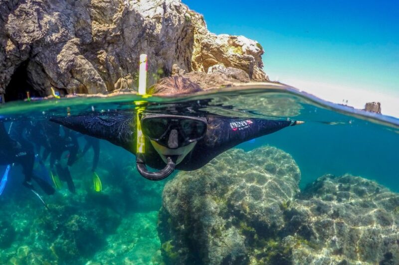 From L'Estartit: Snorkeling Trip to the Medes Islands - Booking and Cancellation Policy