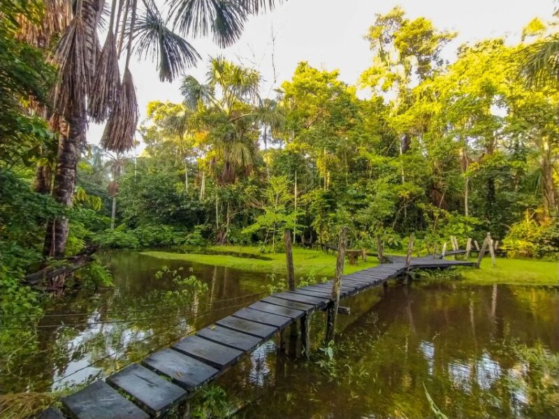 From Leticia: Amazonas Natural and Cultural 5-Day Tour - Itinerary Highlights