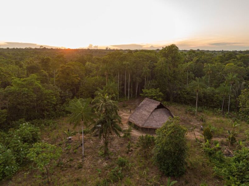 From Leticia: Amazonas Natural and Cultural 5-Day Tour - Preparation and Recommendations