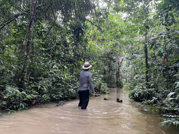 From Leticia: Amazonas Natural and Cultural 5-Day Tour - Accommodation and Meals