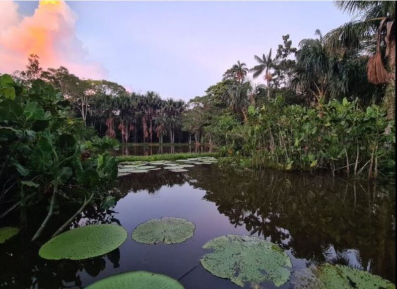 From Leticia: Amazonas Three Borders 3-Day Tour - Included Services