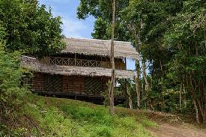 From Leticia to the Rainforest 3 Days/2 Nights Trek and Boat - Key Points