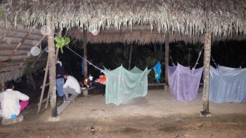 From Leticia to the Rainforest 3 Days/2 Nights Trek and Boat - Experience Highlights