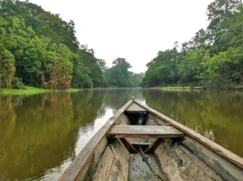 From Leticia: Wild Amazonas Adventure 4-Day Tour - Customer Reviews