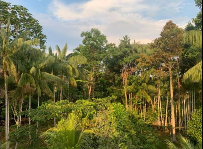 From Leticia: Wild Amazonas Adventure 4-Day Tour - Booking and Pricing