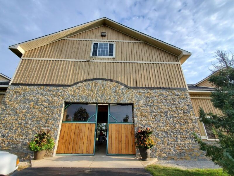 From Lexington: Kentucky Horse Farms Tour - Attractions and Activities