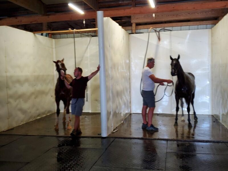 From Lexington: Kentucky Horse Farms Tour - Customer Feedback