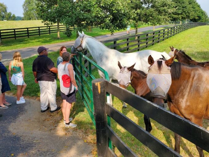 From Lexington: Kentucky Horse Farms Tour - Flexible Booking Options