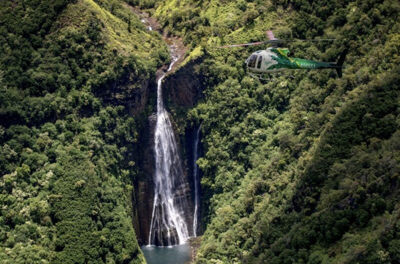 From Lihue: Kauai Sightseeing Helicopter Flight - Customer Reviews and Ratings