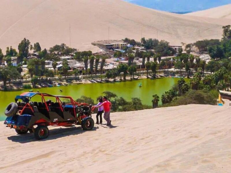 From Lima: 1-day Ica Paracas Excursion + Vineyards and Buggy - Pricing and Inclusions