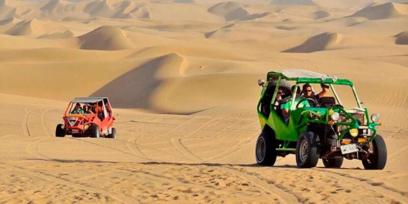 From Lima: 1-day Ica Paracas Excursion + Vineyards and Buggy - Huacachina Dune Buggy Adventure