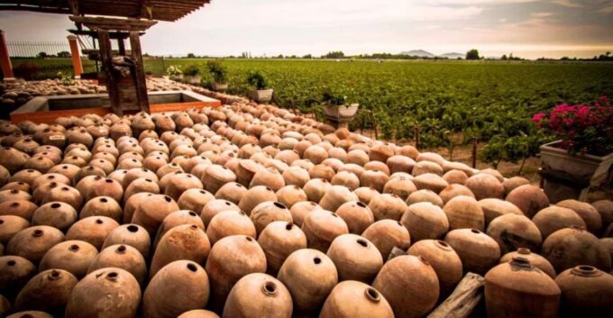 From Lima: 1-day Ica Paracas Excursion + Vineyards and Buggy - Important Considerations