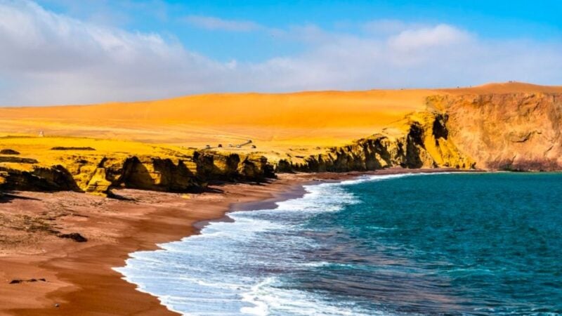 From Lima: 2-Day Nazca Lines Flight, Paracas, and Huacachina - Nazca Lines Flight