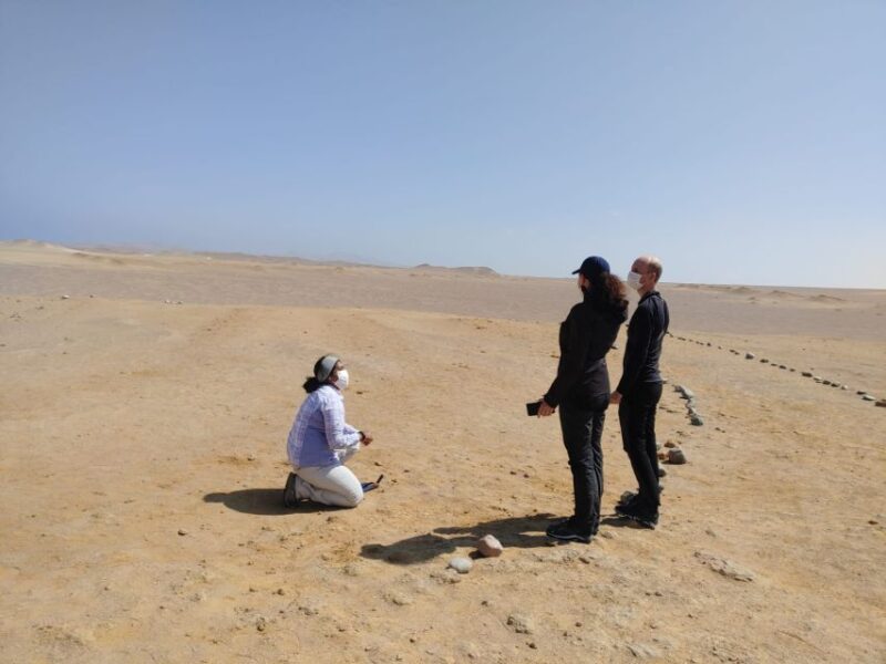 From Lima: Ballestas Island and Paracas Reserve Private Tour - Key Points