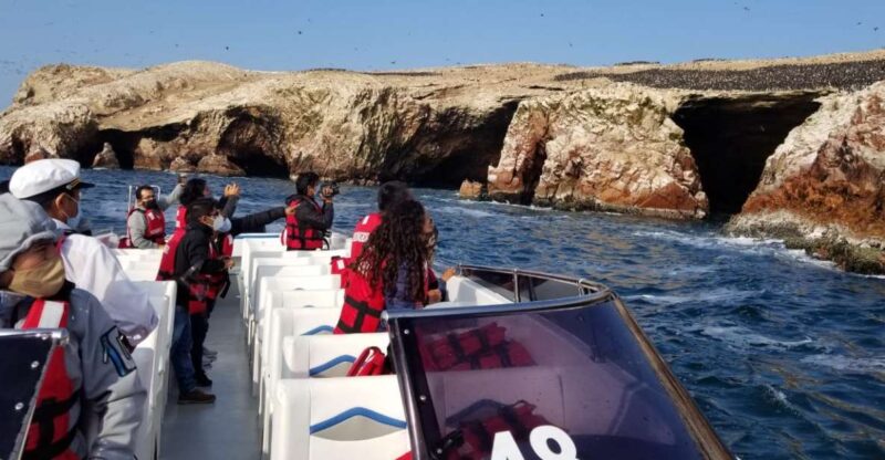 From Lima: Ballestas Island and Paracas Reserve Private Tour - Inclusions and Transportation