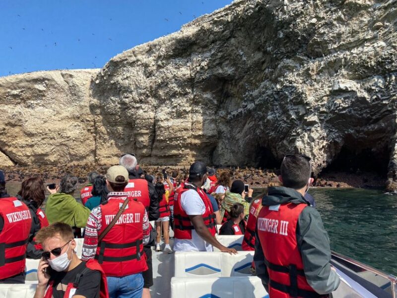 From Lima: Ballestas Island and Paracas Reserve Private Tour - What to Bring and Recommendations