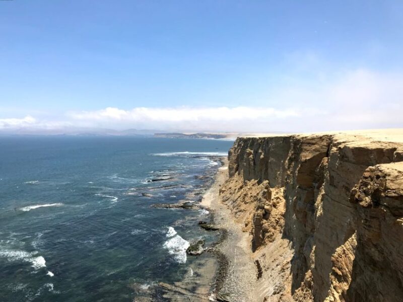 From Lima: Ballestas Island and Paracas Reserve Private Tour - Restrictions and Accessibility