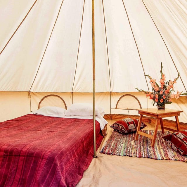 From Lima: Ballestas Islands, Adventure in Ica and Glamping - Sand Activities in Dunes
