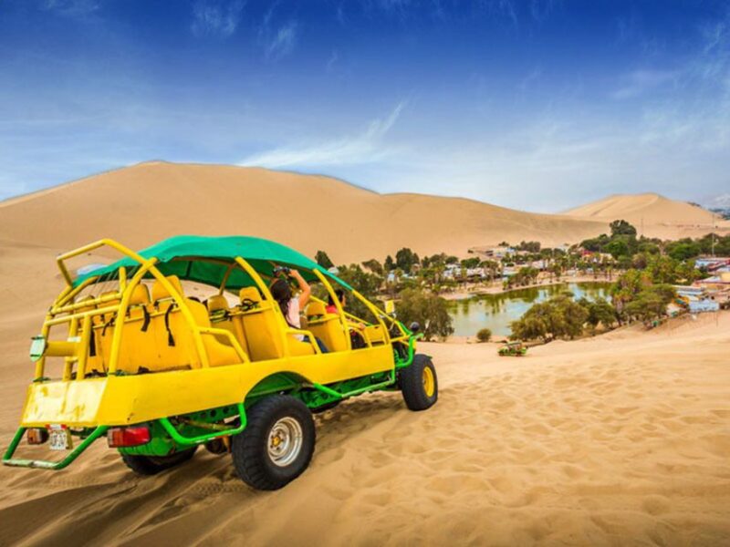 From Lima | Ballestas Islands and Huacachina Tour - Important Information