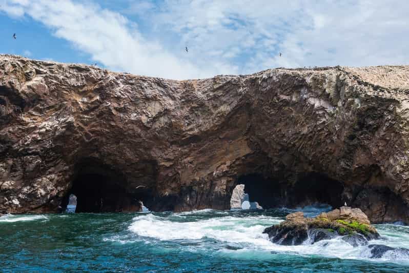 From Lima: Ballestas Islands, Caravedo Vineyard, Huacachina - Marine Life and Vineyard Experience