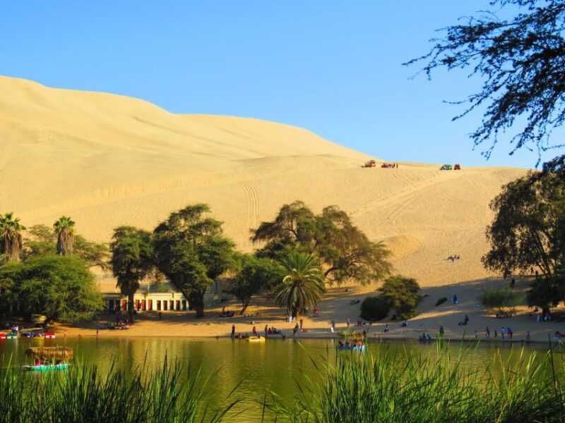 From Lima: Ballestas Islands & Huacachina Oasis & Buggy Tour - Customer Feedback