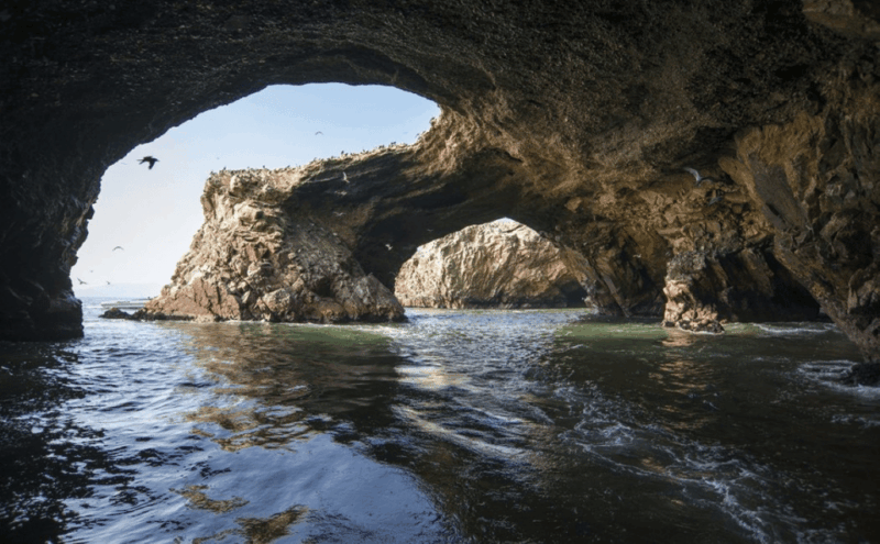 From Lima: Ballestas Islands, Nazca Line and Ica Tour 1 Day - Important Information