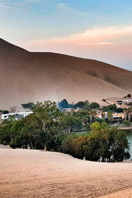 From Lima: Ballestas Islands, Nazca Line and Ica Tour 1 Day - Nazca Lines Overflight