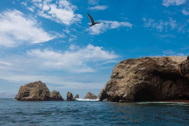 From Lima: Ballestas Islands, Tacama Vineyard and Huacachina - Key Points