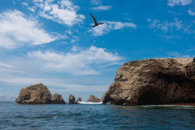 From Lima: Ballestas Islands, Tacama Vineyard and Huacachina - Itinerary and Highlights