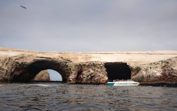 From Lima: Ballestas Islands, Tacama Vineyard and Huacachina - Tacama Vineyard Visit