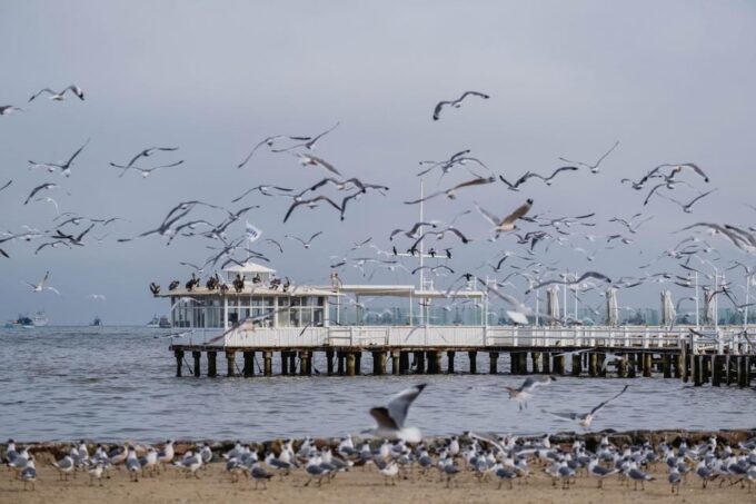 From Lima: Ballestas Islands, Tacama Vineyard and Huacachina - Huacachina Dune Adventure