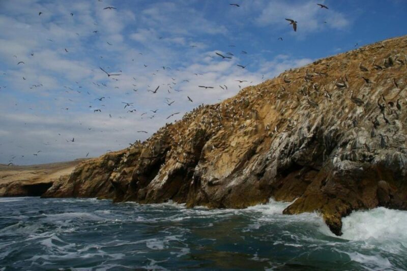 From: Lima - Cusco | Fantastic Peru 8 Days - 7 Nights - Unsuitability