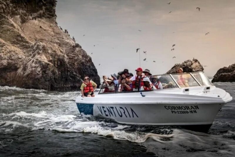 From Lima: Day Trip to Paracas, Ica and Oasis Huacachina - Key Points