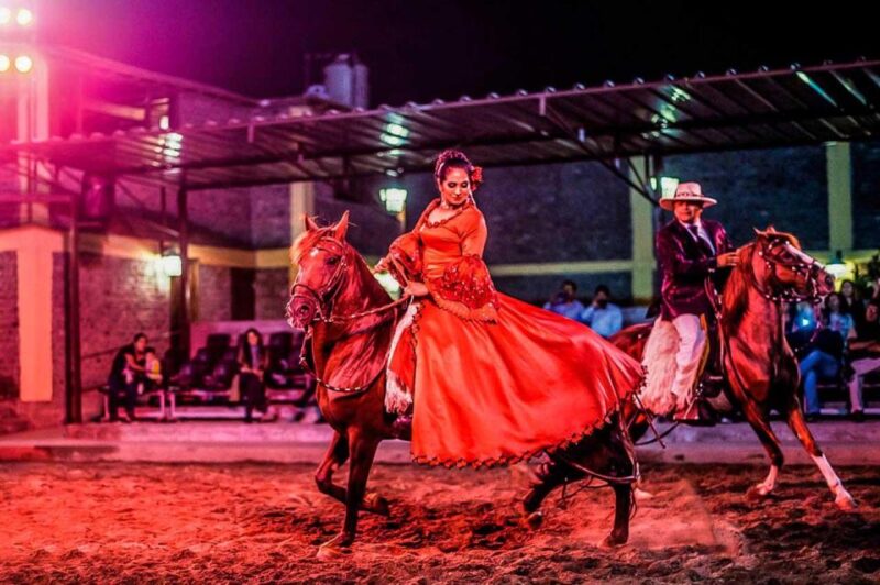From Lima: Dinner Show & Paso Horses - Exploring Lima and Surco District