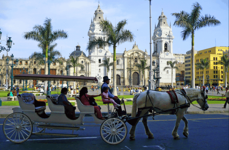 From Lima: Fantastic Peru 7 Days 6 Nights - Included Services