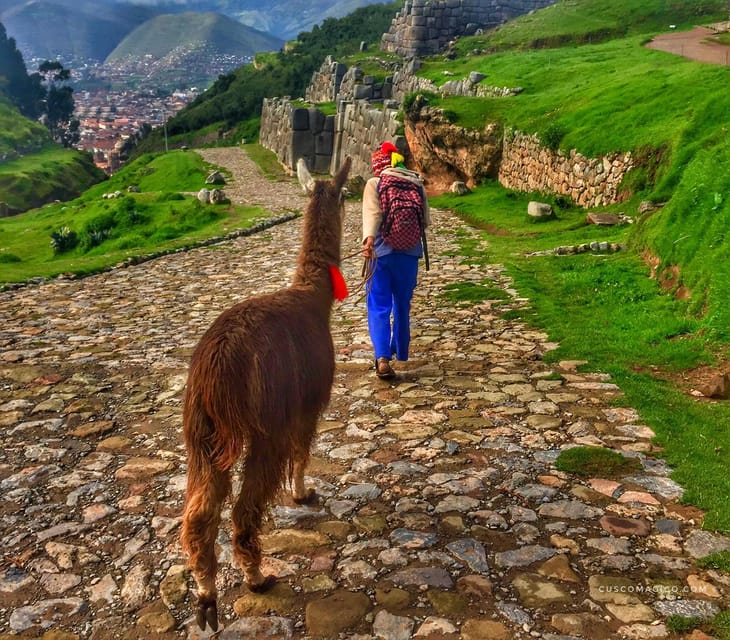 From Lima: Fantastic Peru With Cusco and Puno 7days-6nights - Key Points