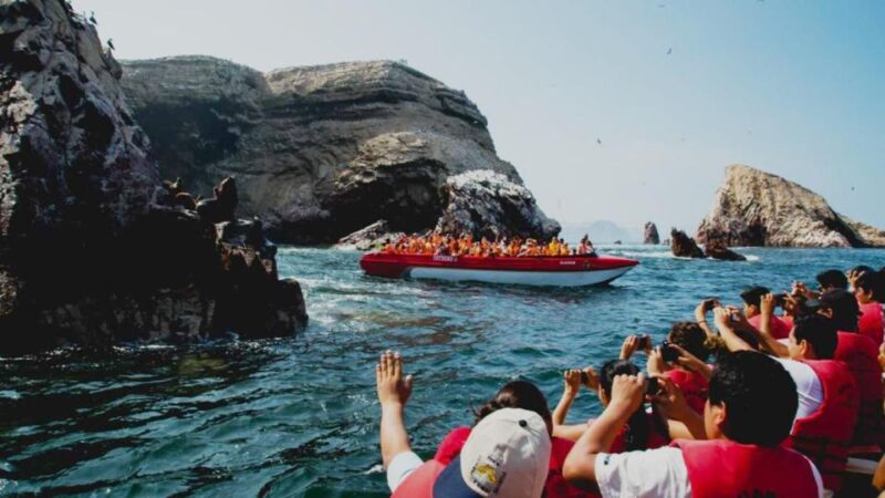 From Lima: Full Day Tour of Paracas and Huacachina Oasis - Included in the Tour
