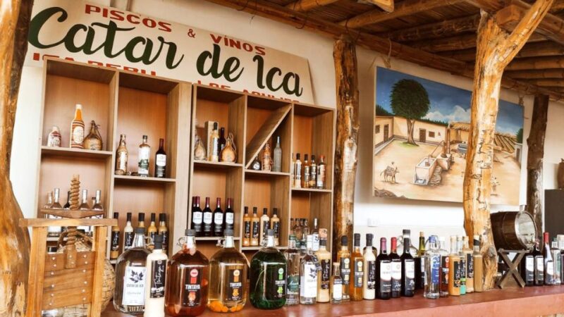 From Lima: Full Day Tour of Paracas and Huacachina Oasis - Huacachina Oasis Exploration
