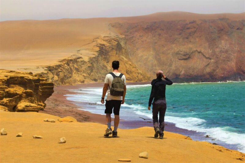 From Lima: Full Day Tour Paracas, Ica, and Huacachina - Journey to Ica