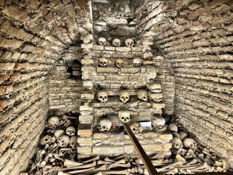 From Lima: Historic Center & Catacombs of Saint Francis - Tour Highlights