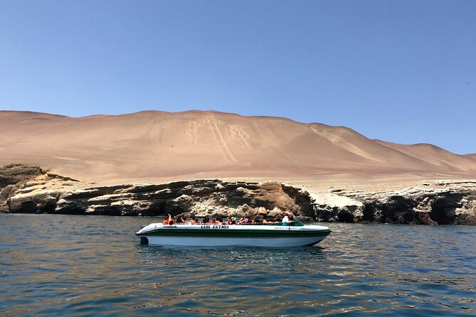 From Lima: Huacachina Oasis & Paracas ALL-INCLUSIVE Day Trip - Inclusions