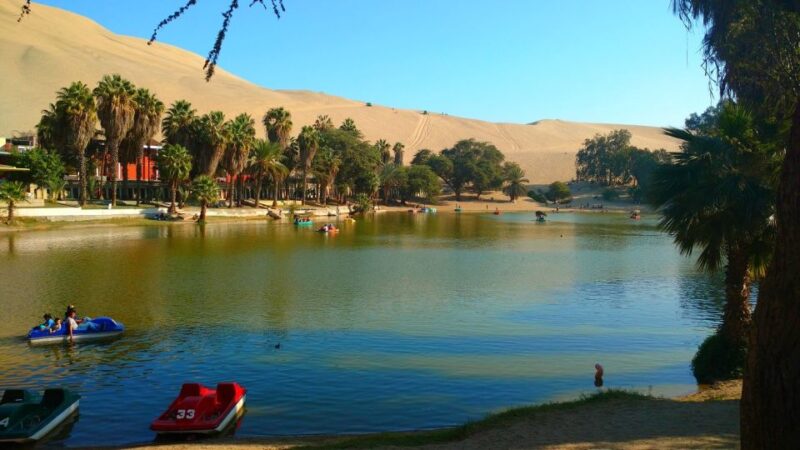 From Lima: Huacachina Oasis Tour, Winery & Desert Sunset - Key Points