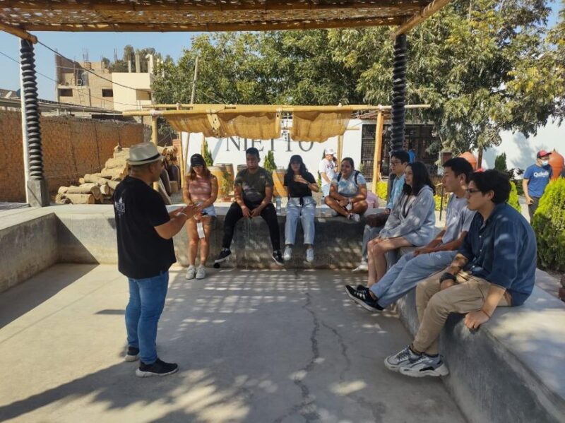 From Lima: Huacachina Oasis Tour, Winery & Desert Sunset - Inclusions and Transportation